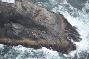 Waves Crashing